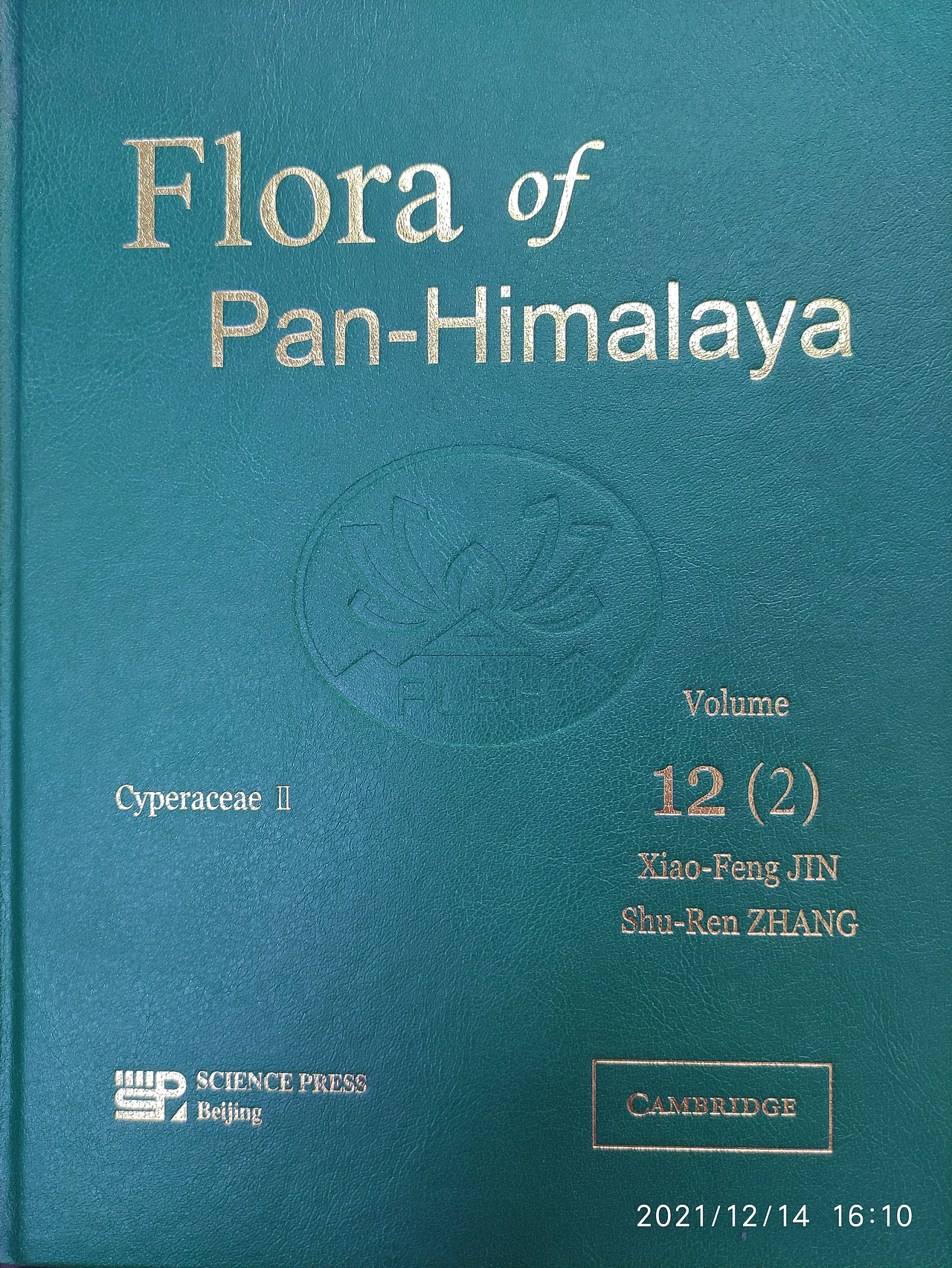 Flora of Pan-Himalaya Vol.12(2) Carex sargentiana（图ZMjgxMzA5MDU2） - 绘画 - 站酷设计师寻山追水原创素材 - 站酷ZCOOL