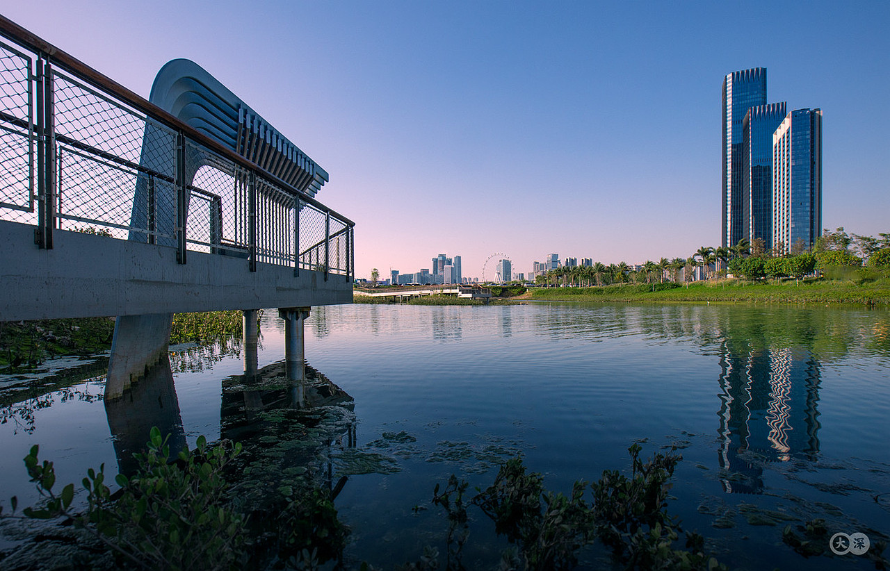 桂湾公园景观摄影|躺在地面的前海新地标