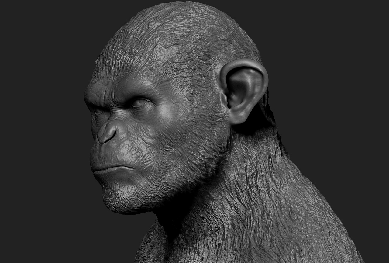 猿族崛起凯撒模型雕刻