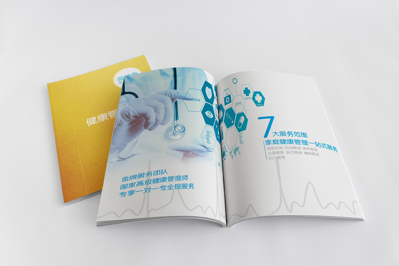 以前做的画册（图ZMTMyNDA4MTA4） - 书籍/画册 - 站酷设计师Alisa1900原创素材 - 站酷ZCOOL