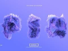 2019-02-18 日常训练