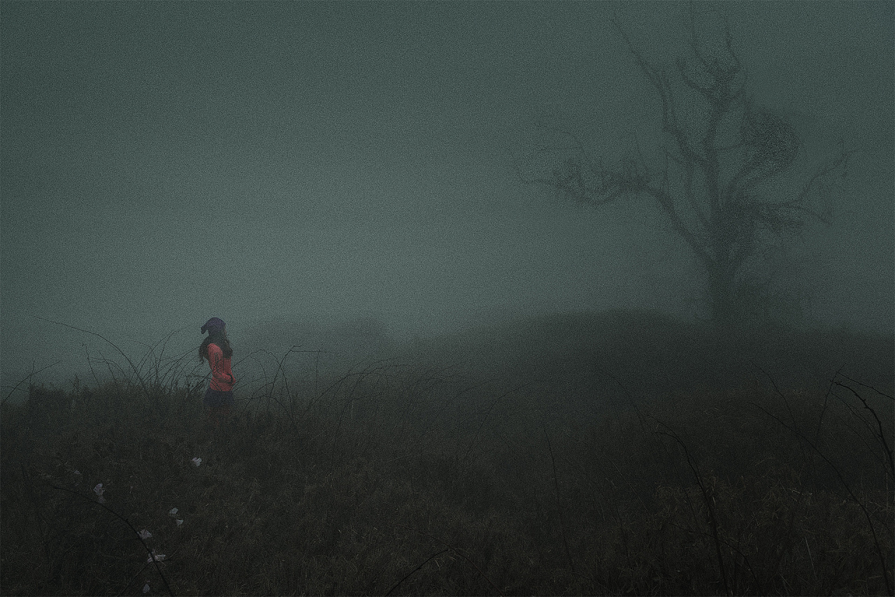 迷雾|摄影|风光|Moriyomaris - 原创作品 - 站酷 (ZCOOL)