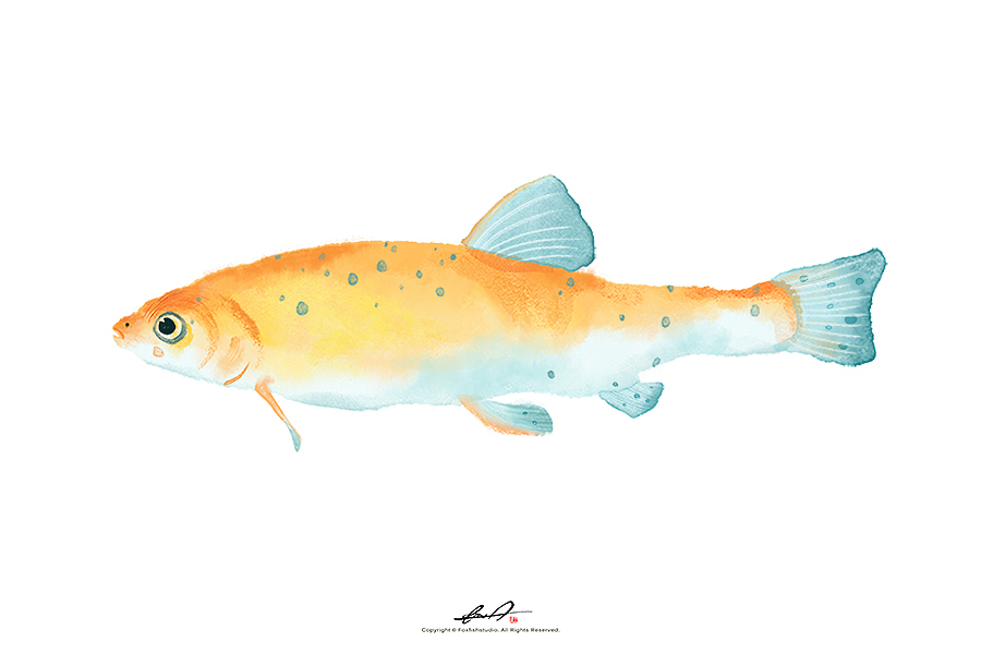 《真·摸鱼》（图ZMTY0OTg0ODA4） - 创作习作 - 站酷设计师瓜里瓜里瓜里原创素材 - 站酷ZCOOL