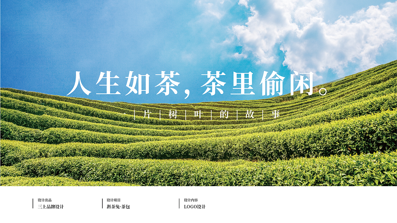 斟茶兔 品牌标志设计提案