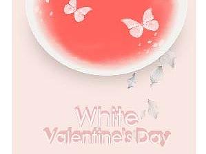 白色情人节海报