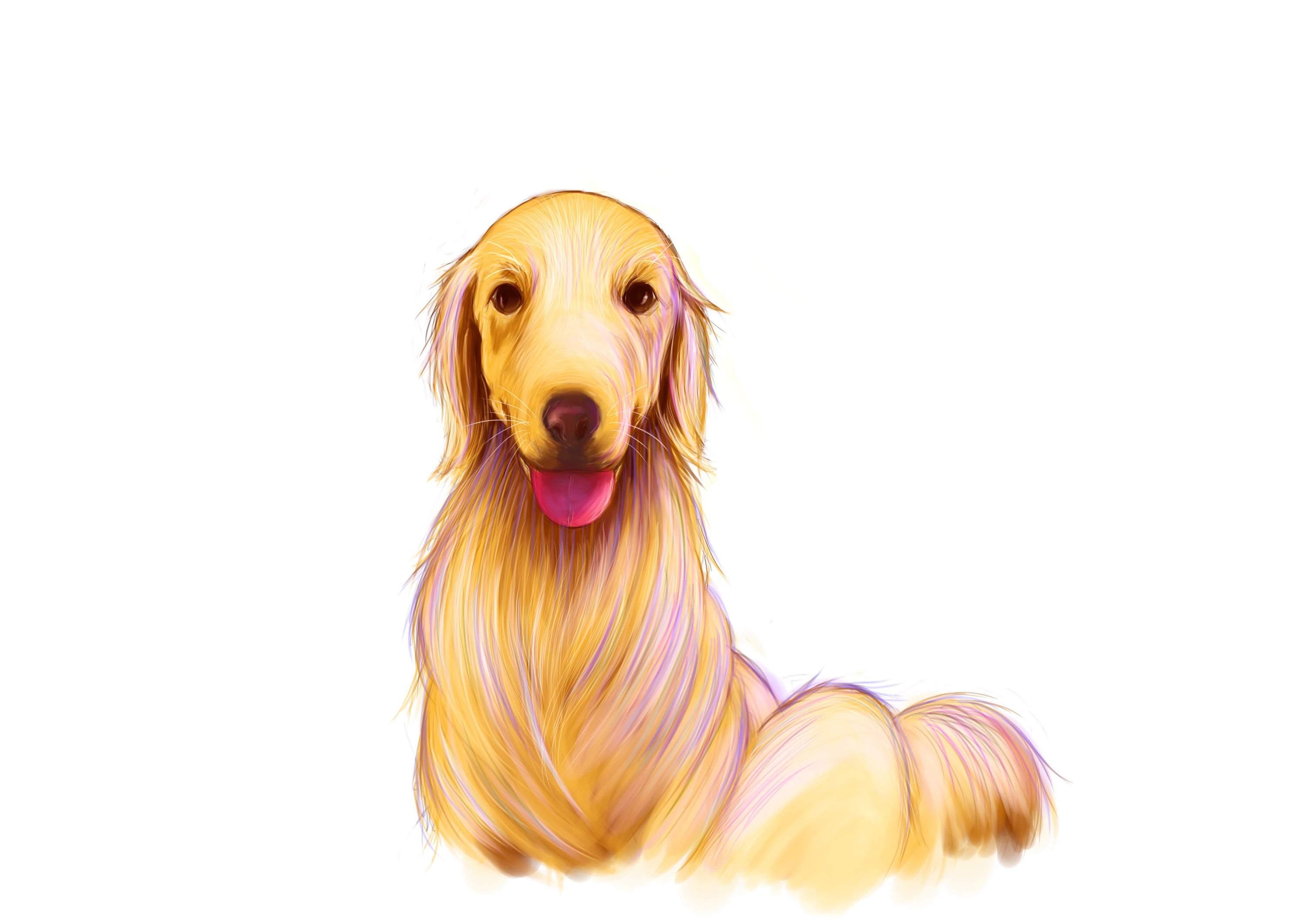 小狗狗生日快乐|插画|插画习作|lzs_forever - 原创作品 - 站酷