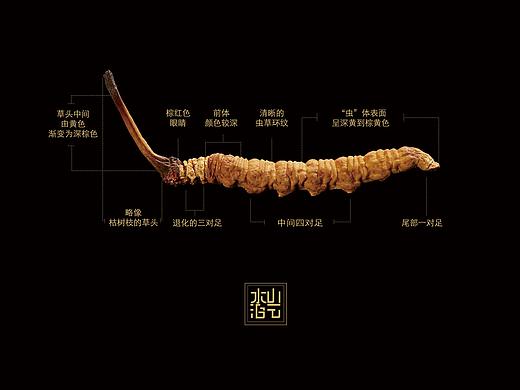 山水云泊 随礼画册 企业宣传册