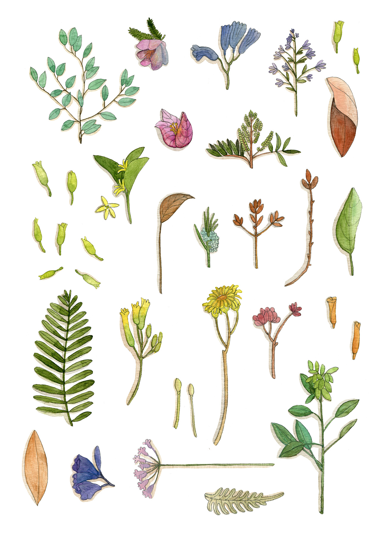 春华秋实-自然物