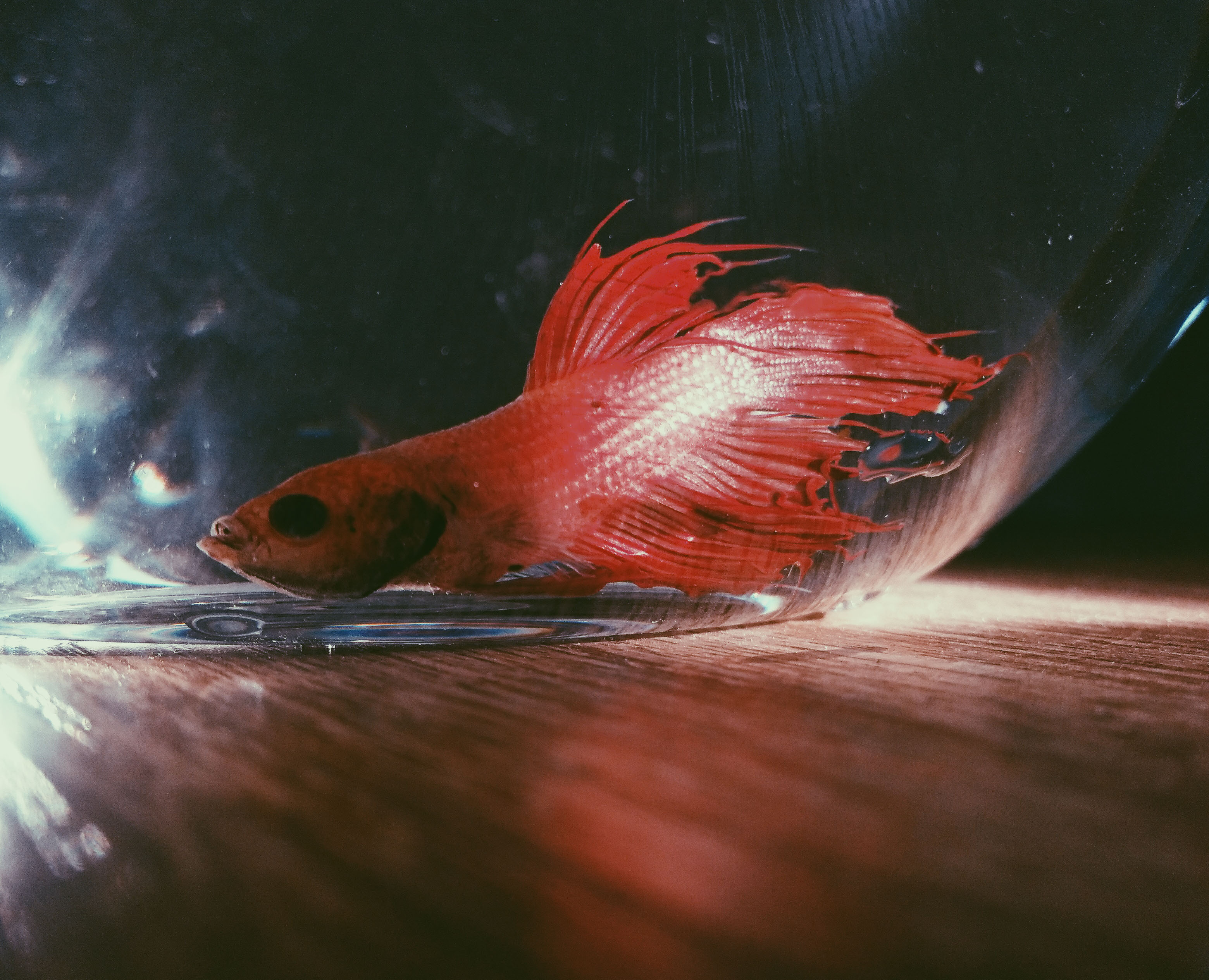 莫测莫测的个人主页（封面预览） - 主页封面设置 - 站酷设计师莫测莫测原创素材 - 站酷ZCOOL