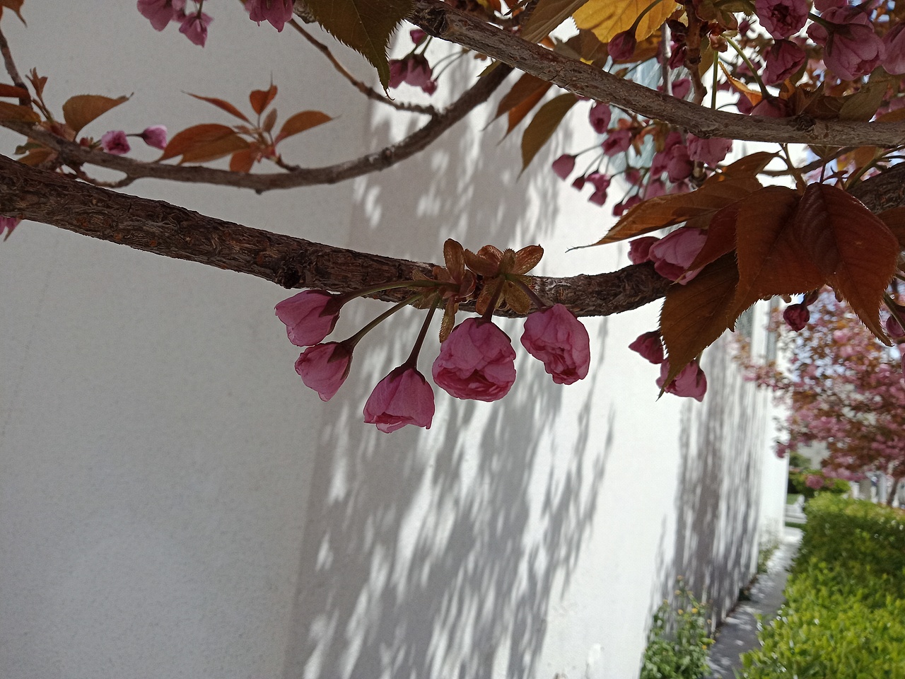 好看吗啊（图ZMTEzMzkxNDIw） - 产品摄影 - 站酷设计师ASD落原创素材 - 站酷ZCOOL