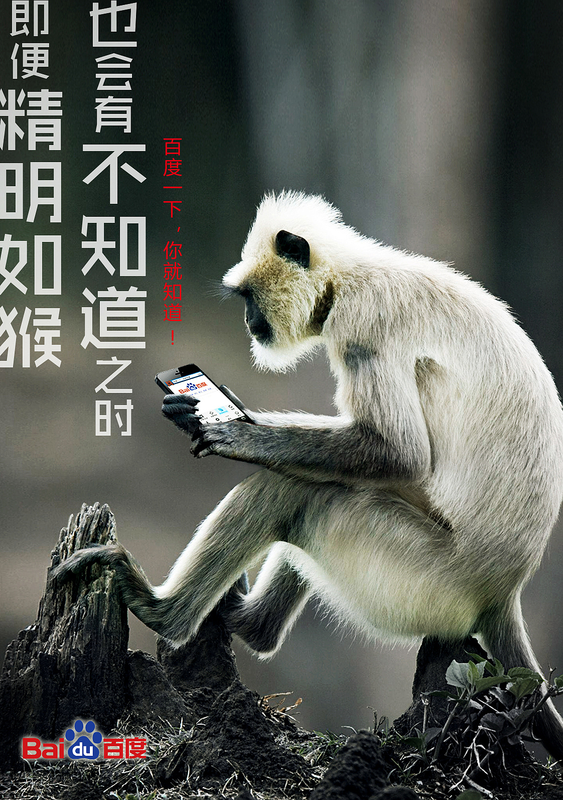 百度一下你就知道猴子篇