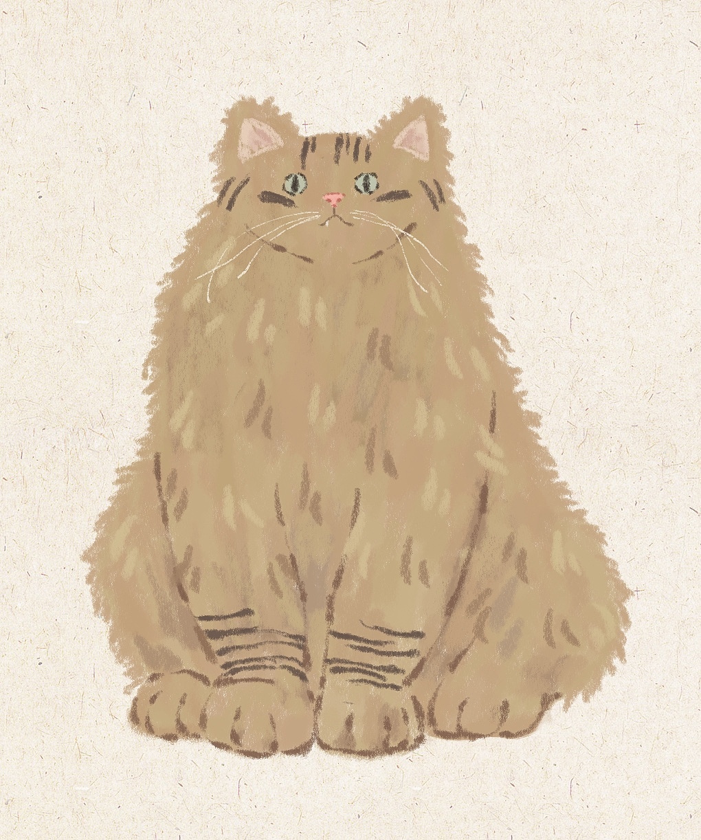 虎年画猫（故宫御猫）（图ZMjg0ODkzMzI4） - 创作习作 - 站酷设计师淼小怪原创素材 - 站酷ZCOOL
