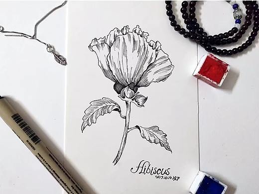 黑白插画