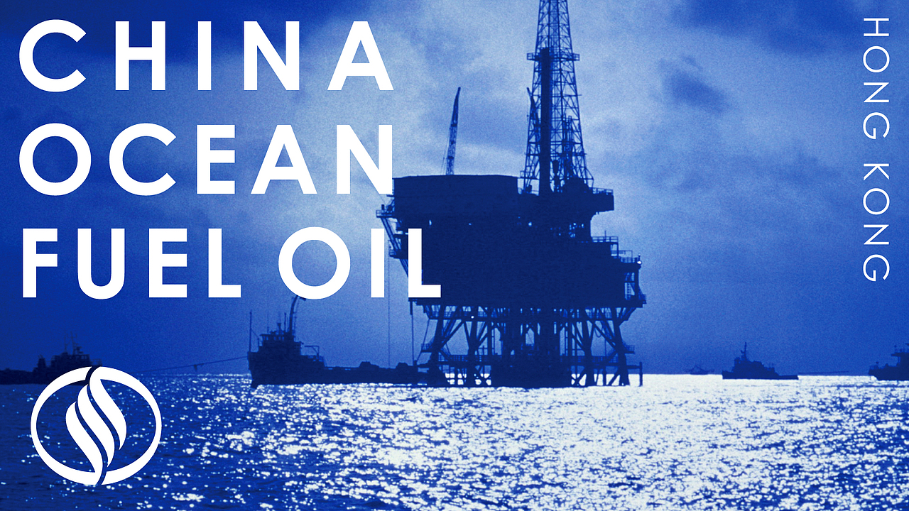 <br>CEFC · 连续四年入围《财富》世界500强<br>喜鹊从品牌标志设计开始,协助华信建立了完善的品牌文化体系、品牌视觉体系与品牌传播体系,为华信品牌走向世界奠定了坚实的基础,见证了一个注重品牌文化的优秀企业是如何在相对较短的时间构建起强势品牌的历程。