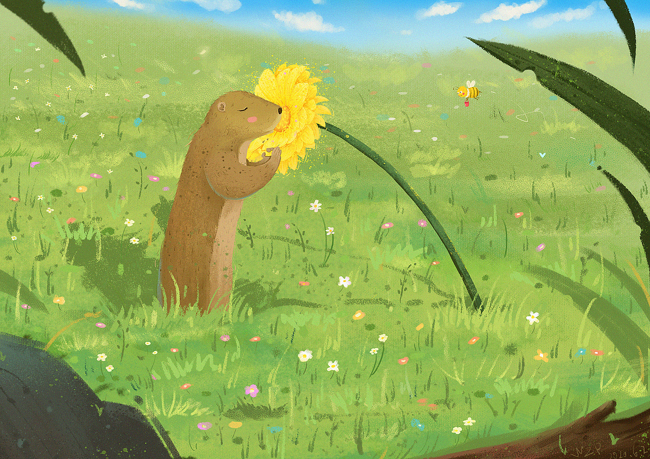 草原犬鼠和小黄花