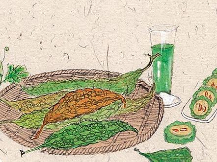 蔬菜版二十四节气  夏季篇