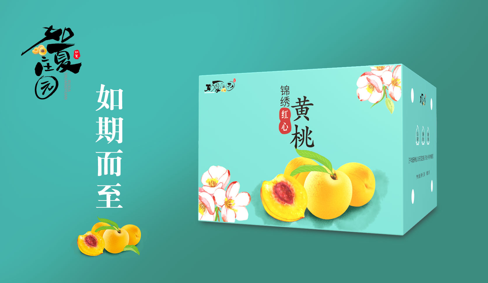 平面-锦绣红心黄桃包装清新手绘蒂芙尼蓝专色水果如夏