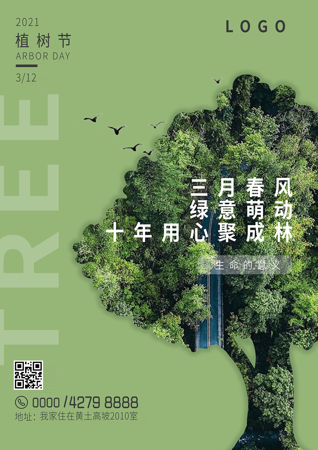 王十二的学习之路