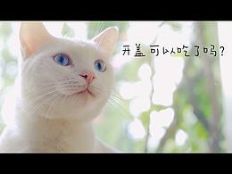 日食记混剪