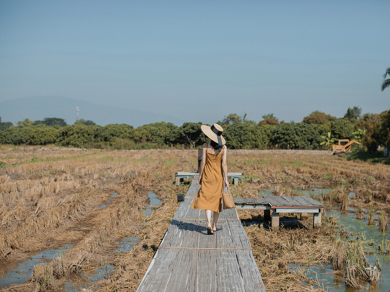清迈兰纳古城之旅