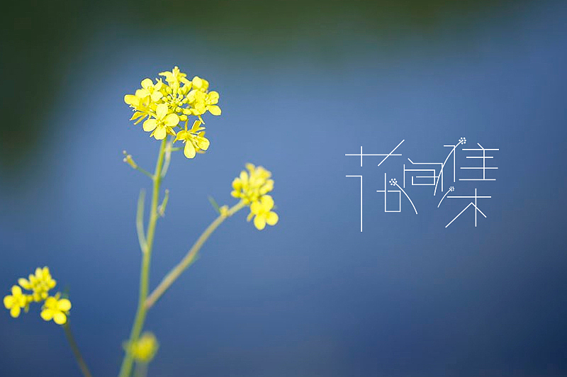 随意集(图ZMzU4MDI3ODg=) - 字体/字形 - 站酷设计师刘兵克原创素材 - 站酷ZCOOL