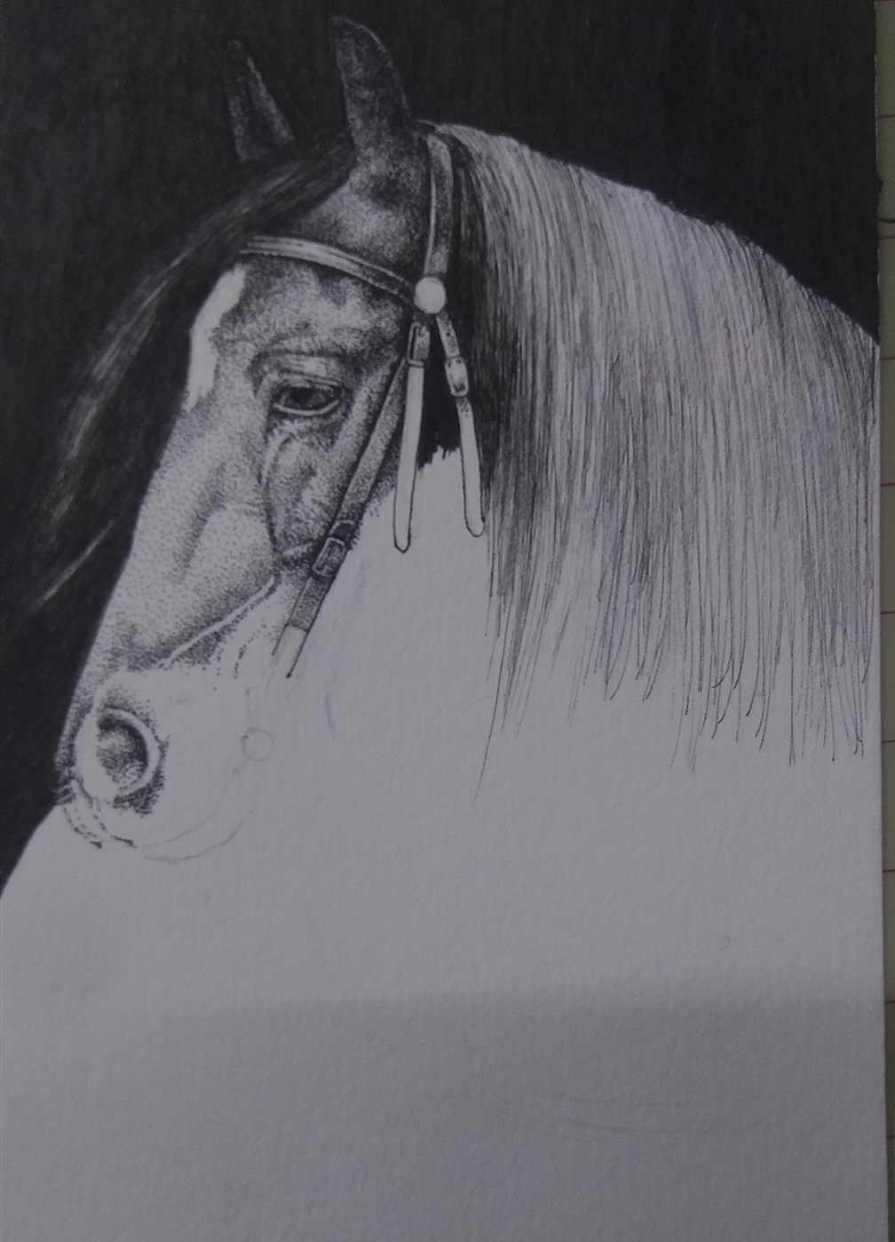 马·生而忧伤（图ZMjMxOTU0NTIw） - 绘画 - 站酷设计师二熊熊原创素材 - 站酷ZCOOL