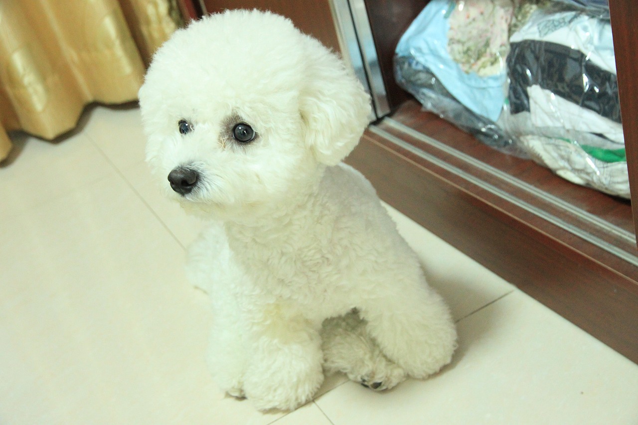 这些年存的照片