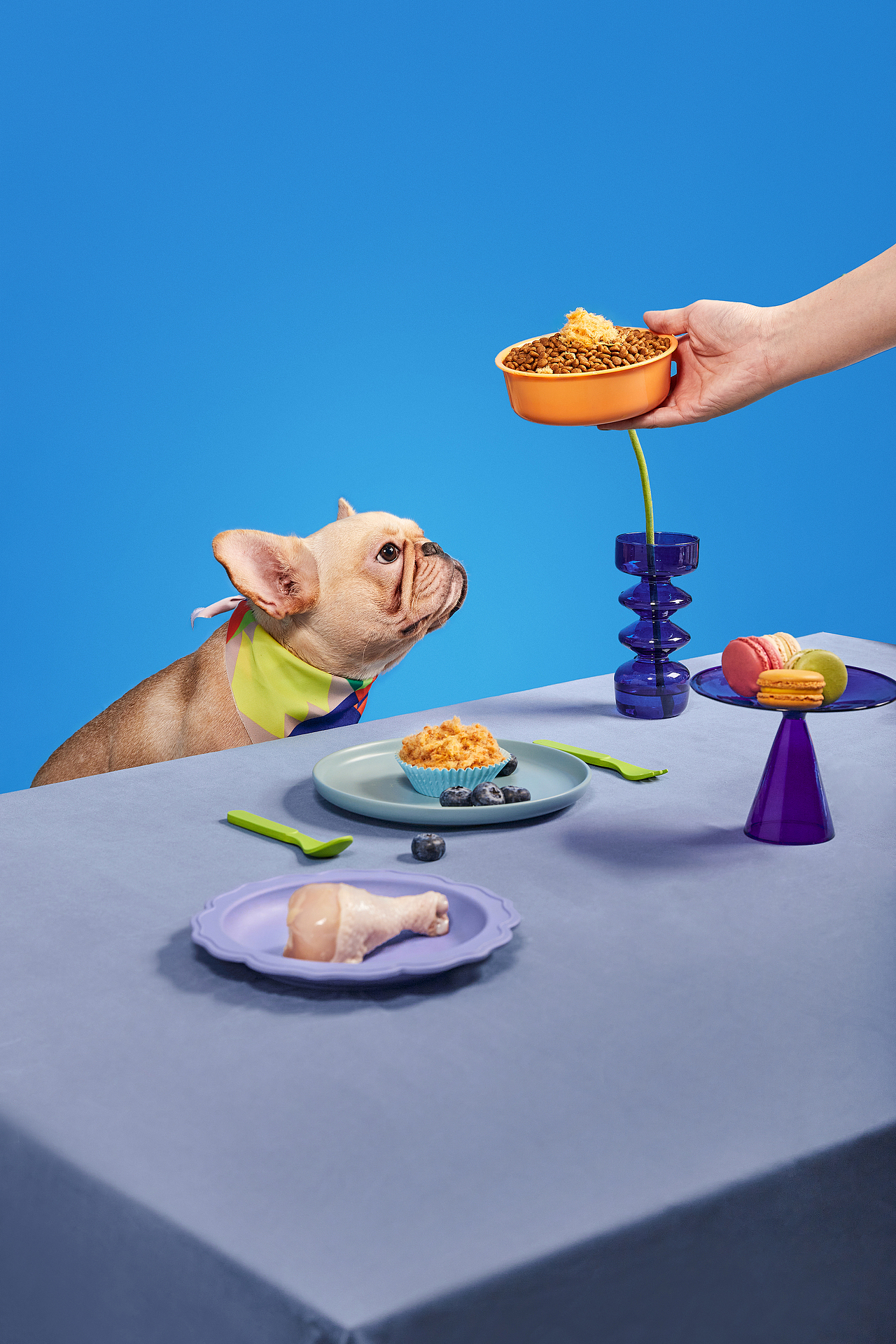 颜色比较艳丽的小片