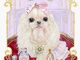 狗中贵族马尔济斯