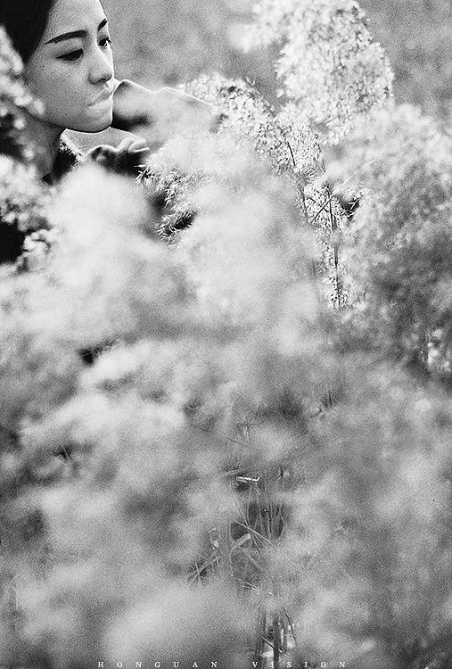 心阿，这座牢笼