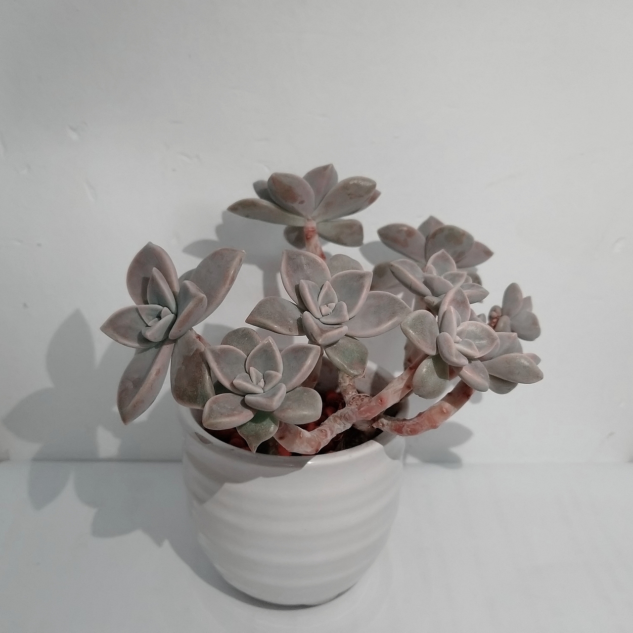 随手拍拍拍（图ZMTI5ODQ2ODky） - 人文/纪实摄影 - 站酷设计师SH先生原创素材 - 站酷ZCOOL