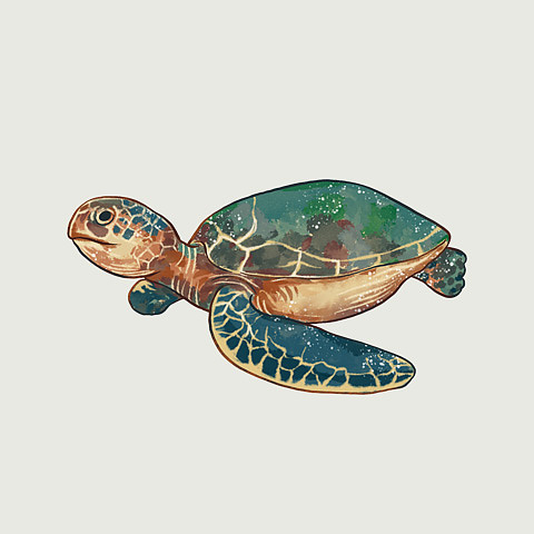 海洋里面有什么?——海龟