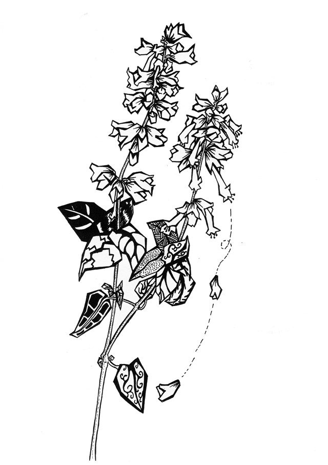 装饰画怎么画素描 01e14a5621c0c332f8755701f63e02.jpg@2o.jpg