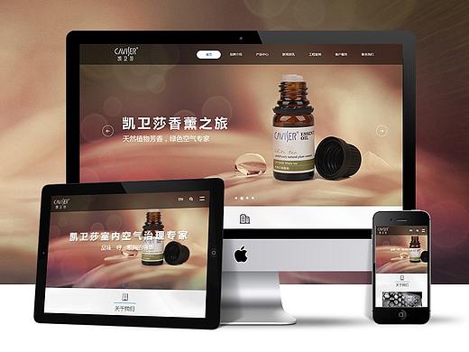 响应式网站设计