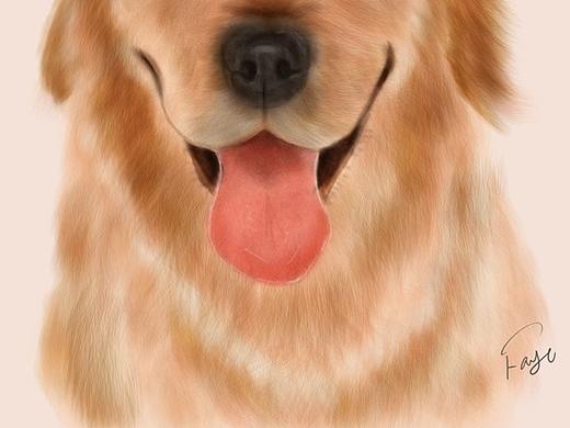 板绘金毛犬狗狗