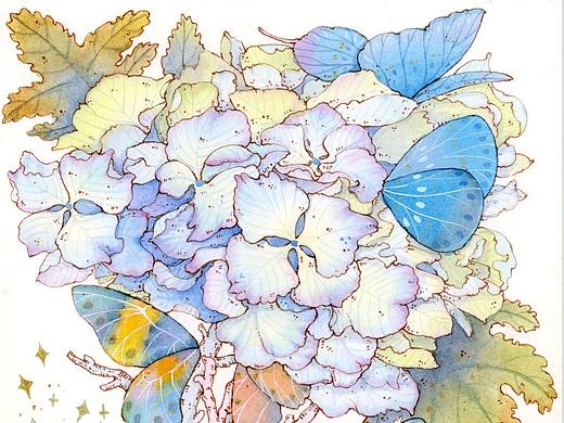水彩——绣球花、蝴蝶