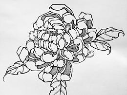 插画