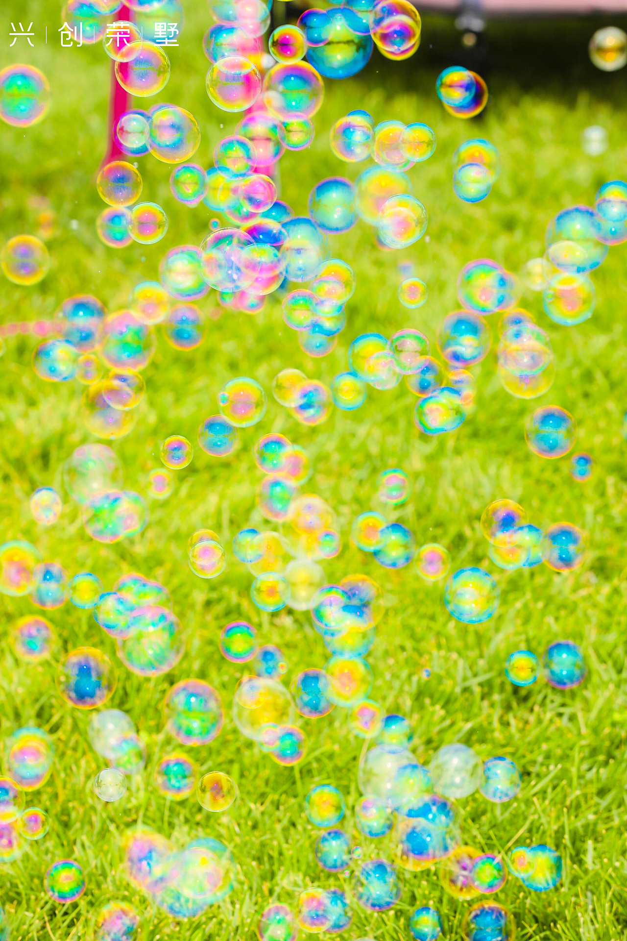 2021 兴创荣墅草坪露营生活节