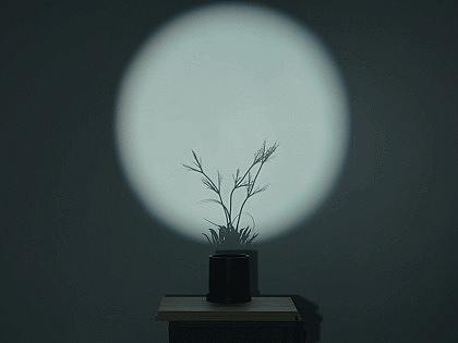 光映妆楼月 花承歌扇风