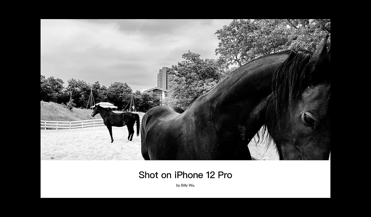 iPhone 12 pro拍摄的日常0623（图ZMjU5OTEzNzk2） - 人文/纪实摄影 - 站酷设计师武减武文化创意原创素材 - 站酷ZCOOL