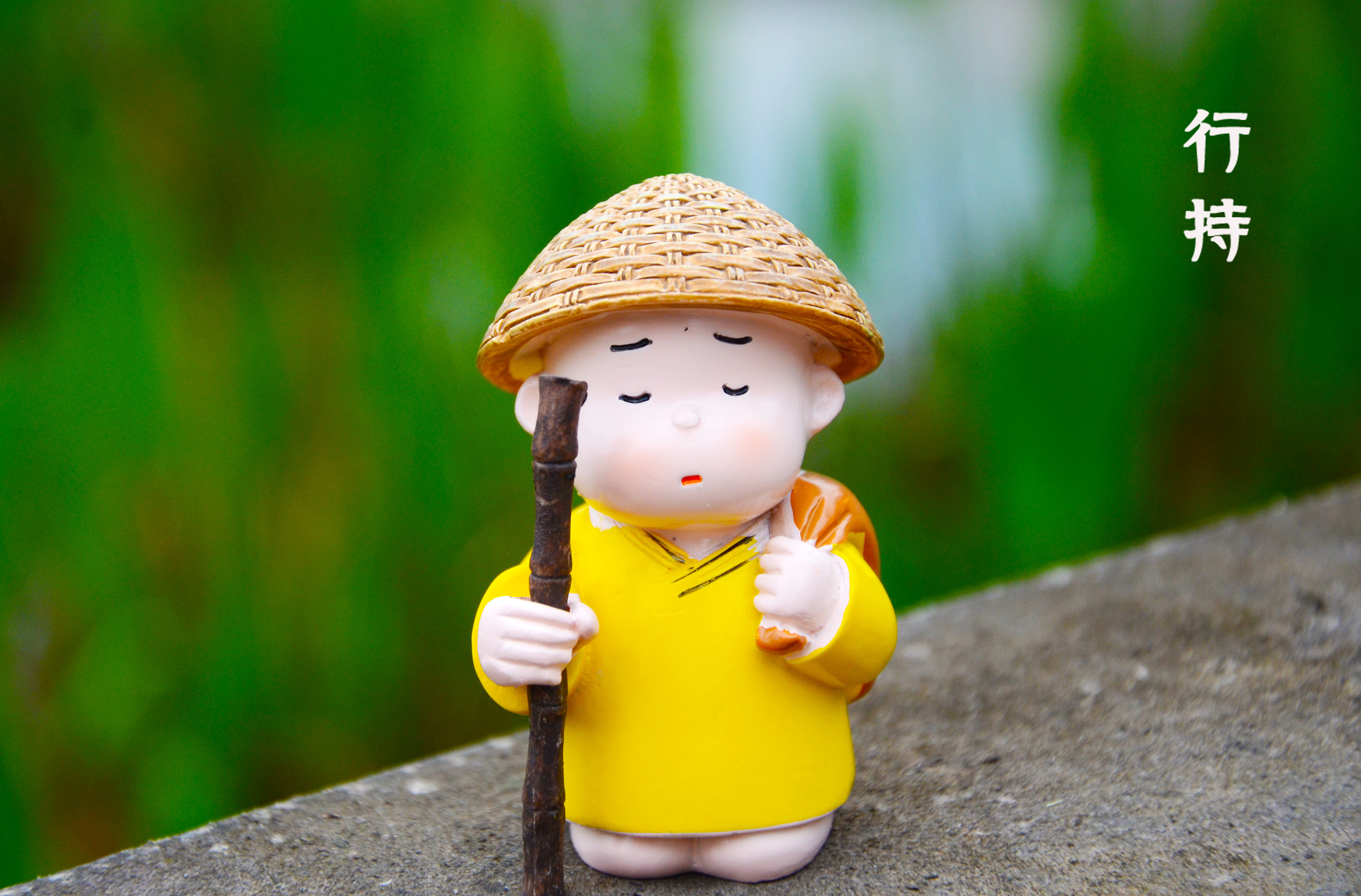 贤二秋日照