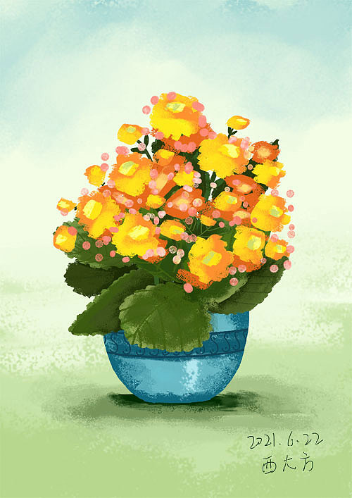 绿色植物盆栽插图及样机|插画|创作习作|西大方 - 原创作品 - 站酷