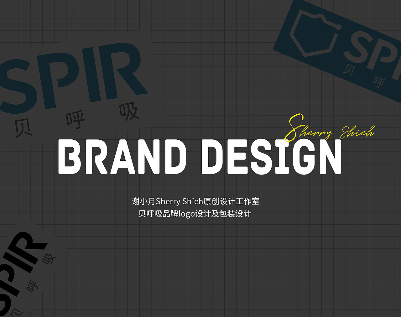 谢小月原创品牌logo及包装设计