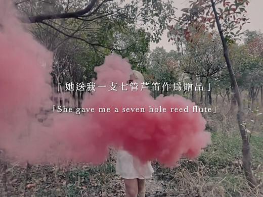 动态影像设计优秀课程作业——Muses Vision