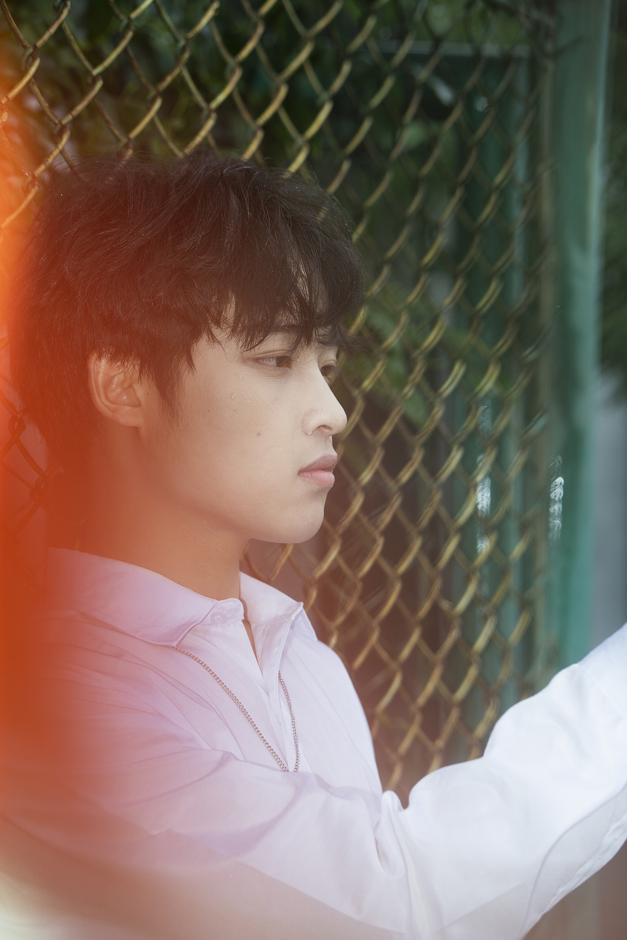 雨天的绿色也生机盎然