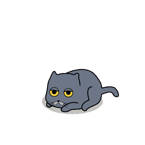 宠物猫动态设定