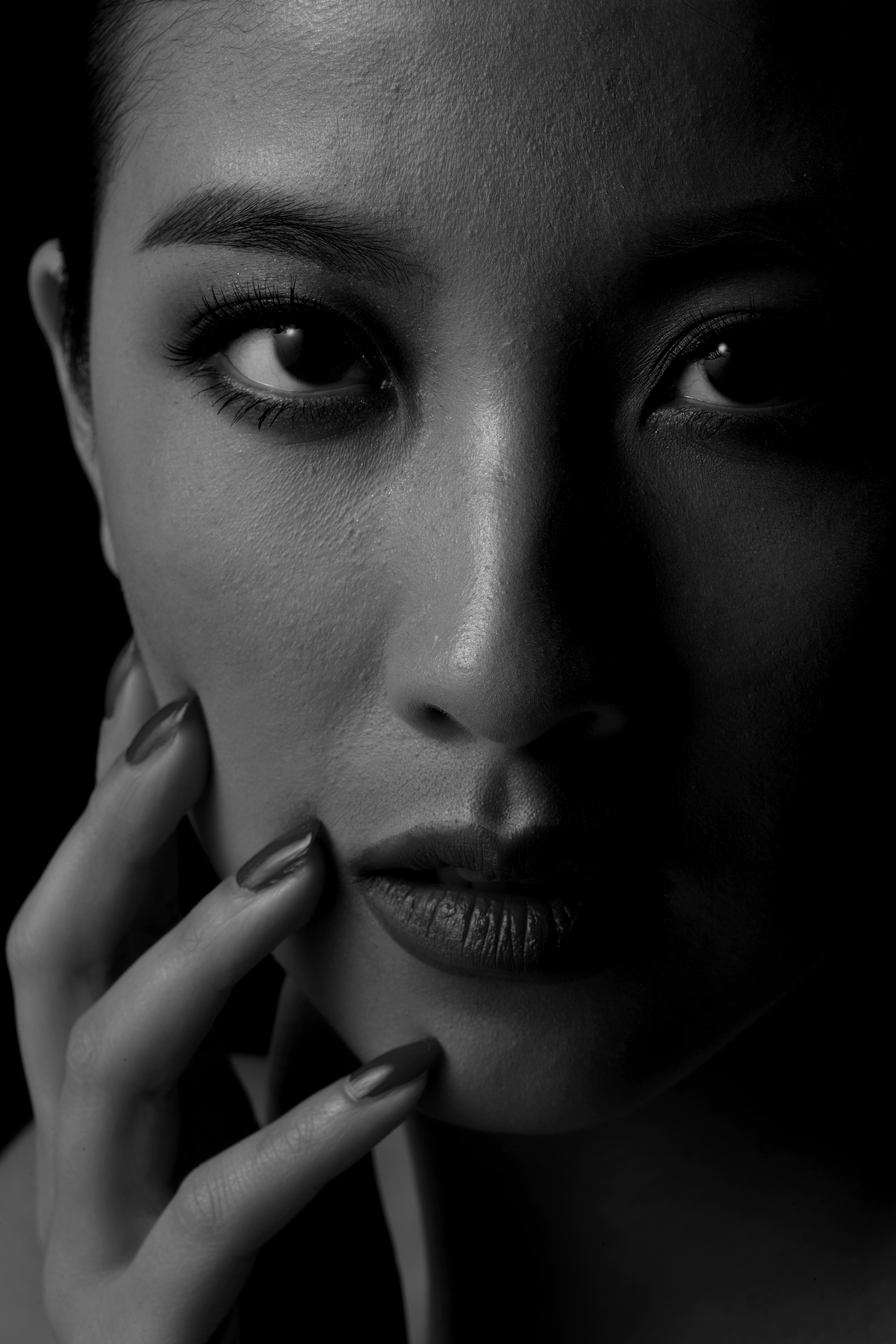 借刘杨老师素材创作两张