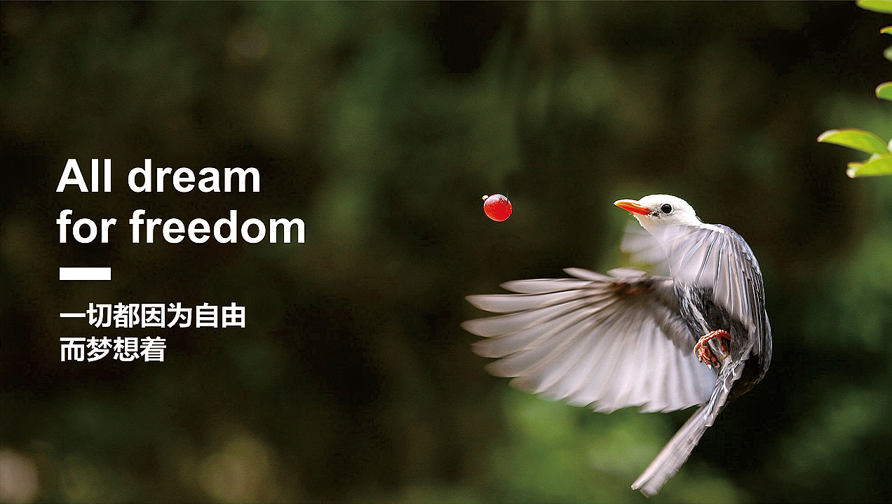 2017-2018作品精选