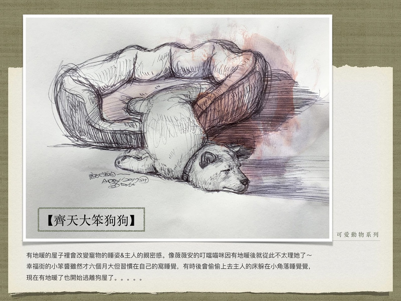 【可愛寵物系列】
