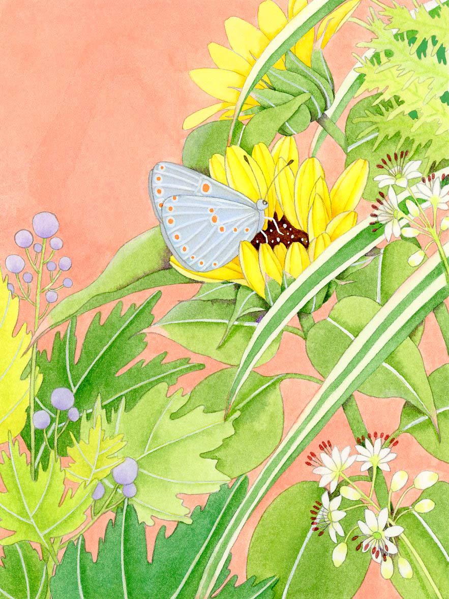 插画师春羽的个人主页（背景预览） - 主页背景设置 - 站酷设计师插画师春羽原创素材 - 站酷ZCOOL